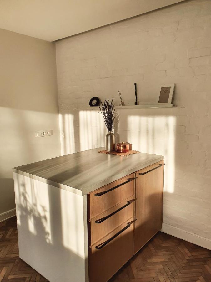 Downtown Apartment Rentals 2 Šiauliai Kültér fotó